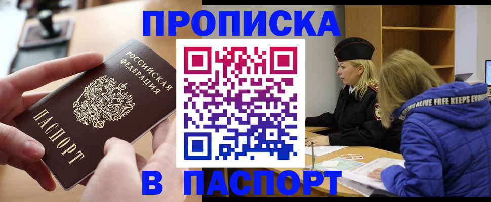 временная регистрация для школы в Курчалом