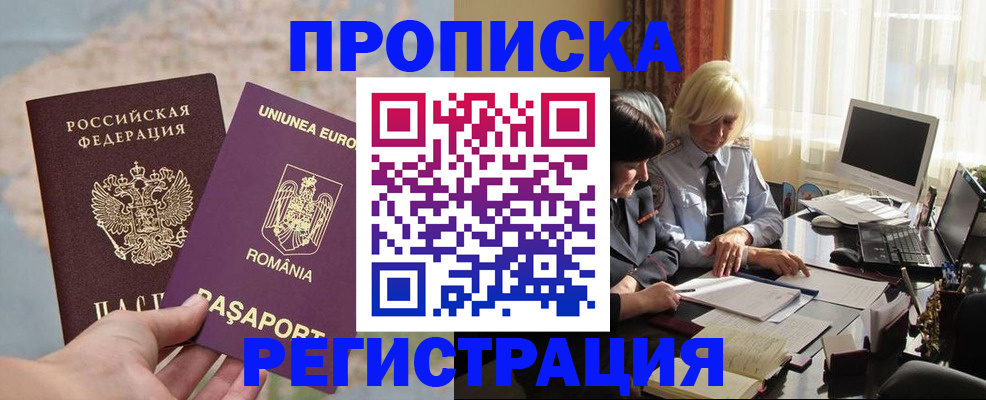 прописка 2025 в Курчалом